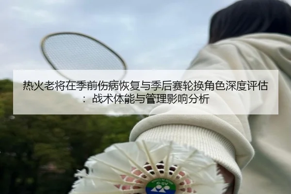 热火老将在季前伤病恢复与季后赛轮换角色深度评估：战术体能与管理影响分析
