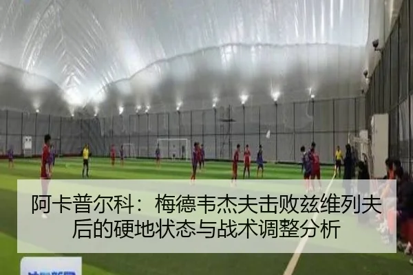 阿卡普尔科：梅德韦杰夫击败兹维列夫后的硬地状态与战术调整分析