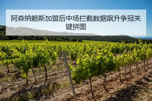 a-sen-na-lai-si-jia-meng-hou-zhong-chang-lan-jie-shu-ju-biao-sheng-zheng-guan-guan-jian-pin-tu-2-781.jpg
